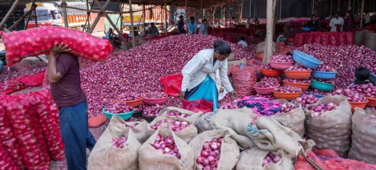 onion_1