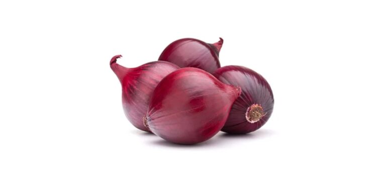 onion_31